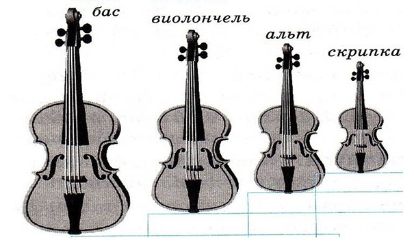 Картинки струнно смычковые